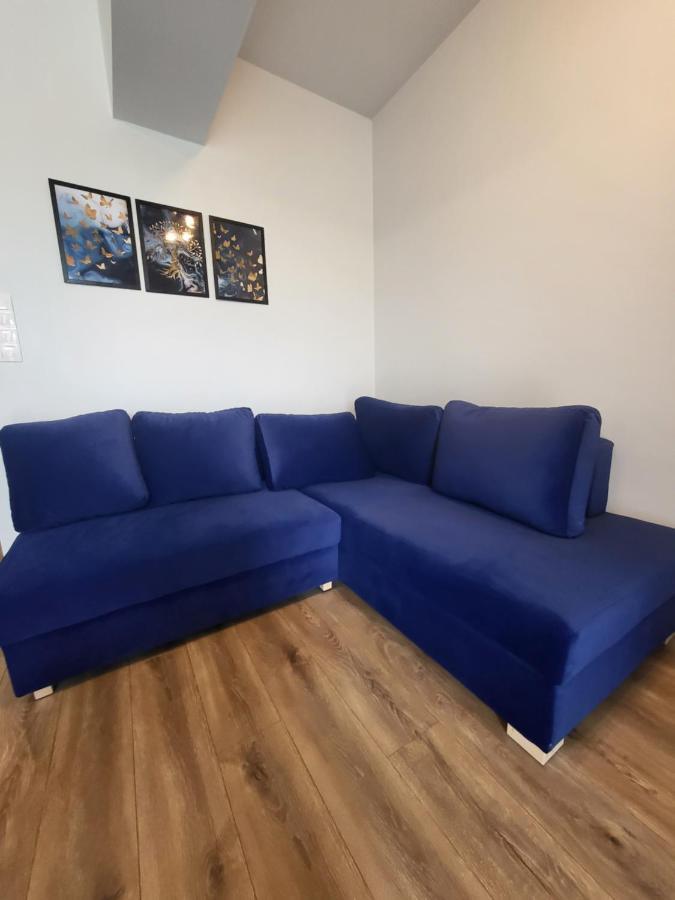 זאטור Nest Niebieski מראה חיצוני תמונה